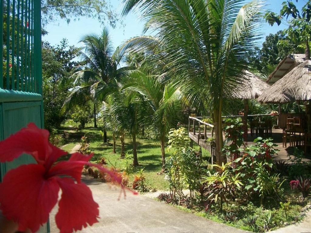 Tori'S Backpacker'S Paradise Siquijor Exterior photo